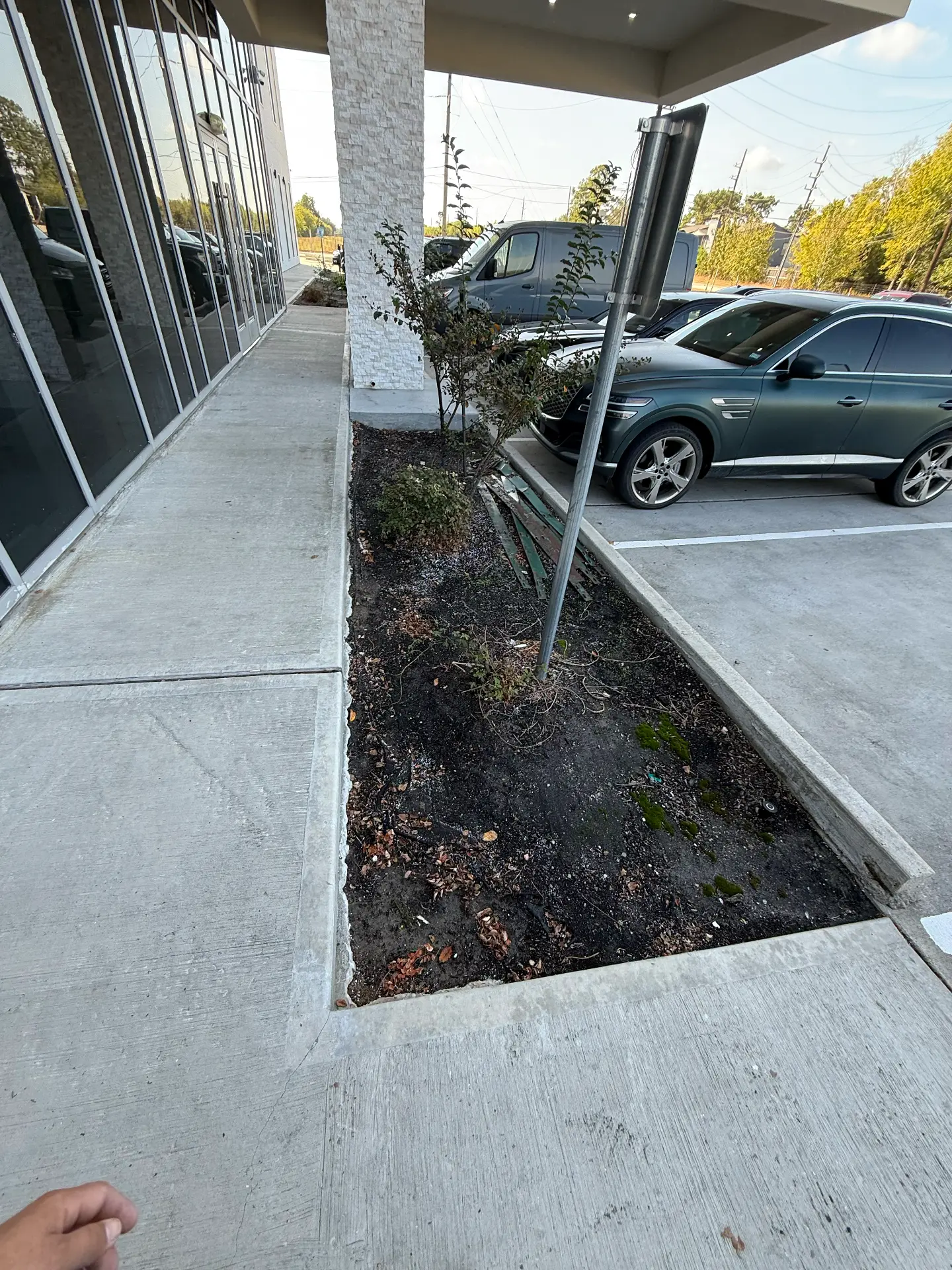 Commercial flower bed finished with black mulch, new plants, and decorative rock